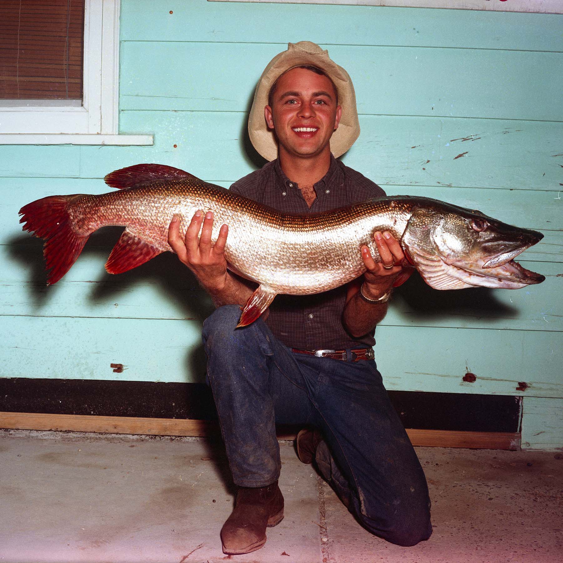 A man in a hat kneels to hold a large fish in both hands
